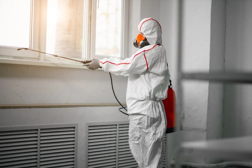 Professional mold remediation services in Sugarcreek, OH